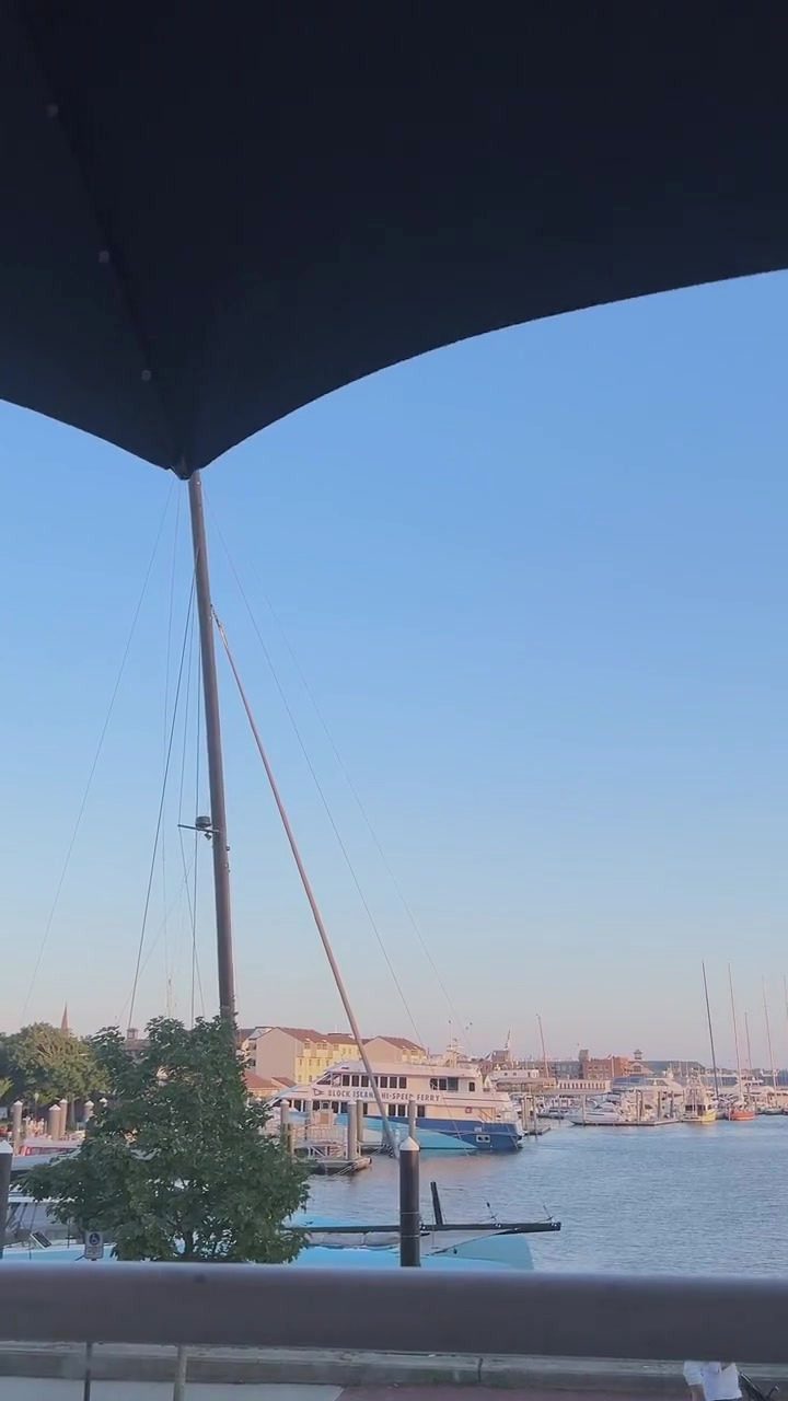 Newport harbour and its masts seen from a shaded terrace